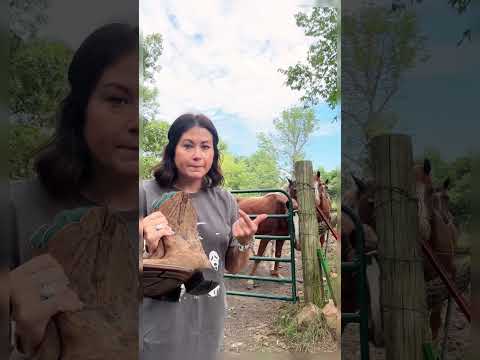 The horses got some good ole bermuda bales for a snack today and I put on boots for y'all🤭 #rufus