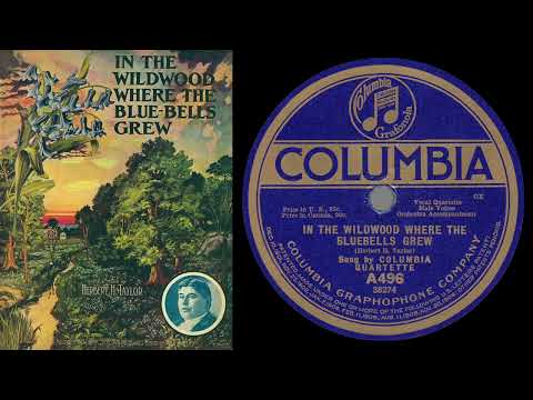 Columbia Quartette — In the Wildwood Where the Bluebells Grew (Columbia Quartette 1907)
