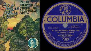 In the Wildwood Where the Bluebells Grew (Columbia Quartette 1907)