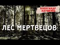 ЛЕС МЕРТВЕЦОВ | Страшные истории
