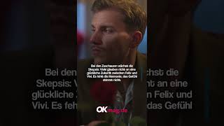 &quot;Die Bachelors&quot;: Düstere Prognose für Felix Stein – &quot;Hat keine Zukunft&quot;