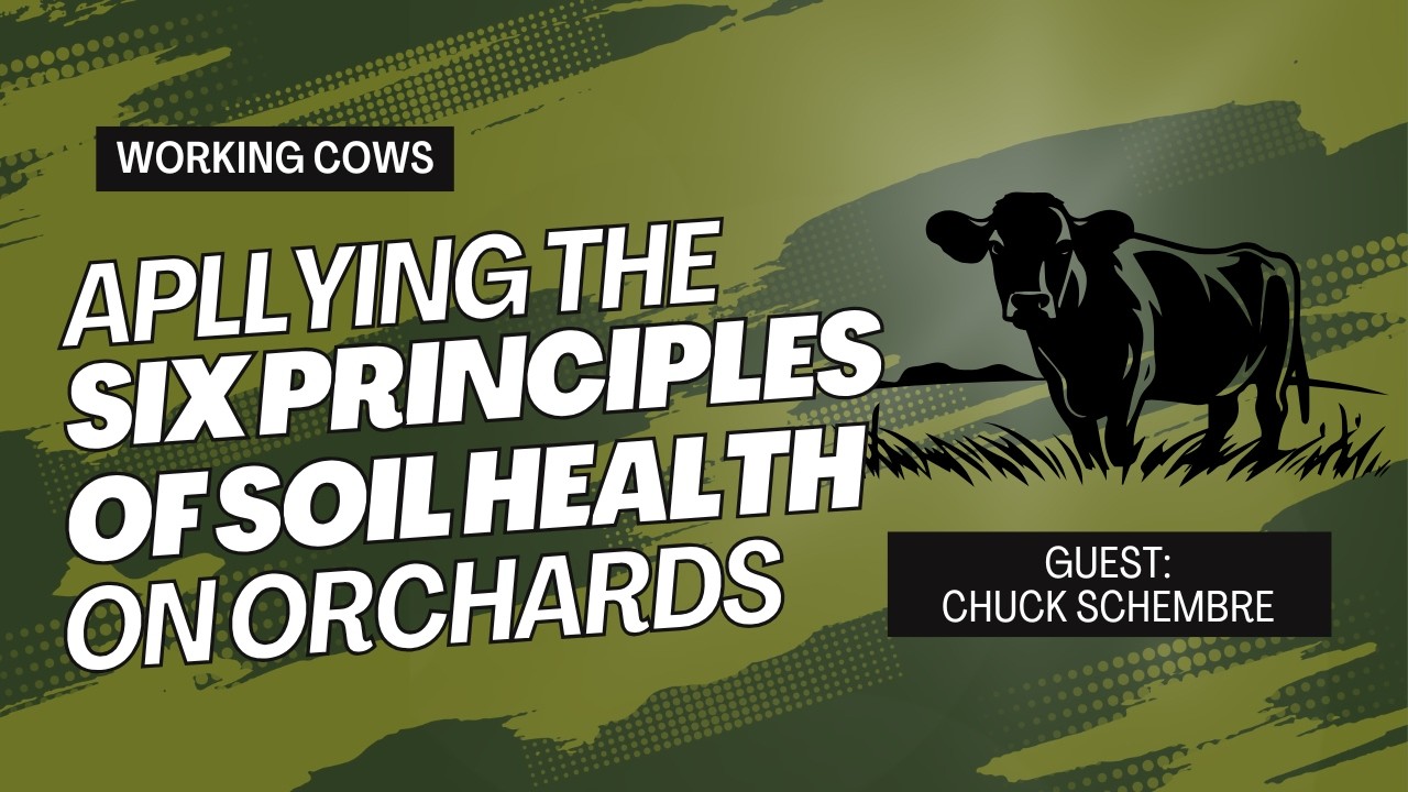 Applying the Six Principles of Soil Health in Orchards (WCP 410) | Working Cows - Regenerative...
