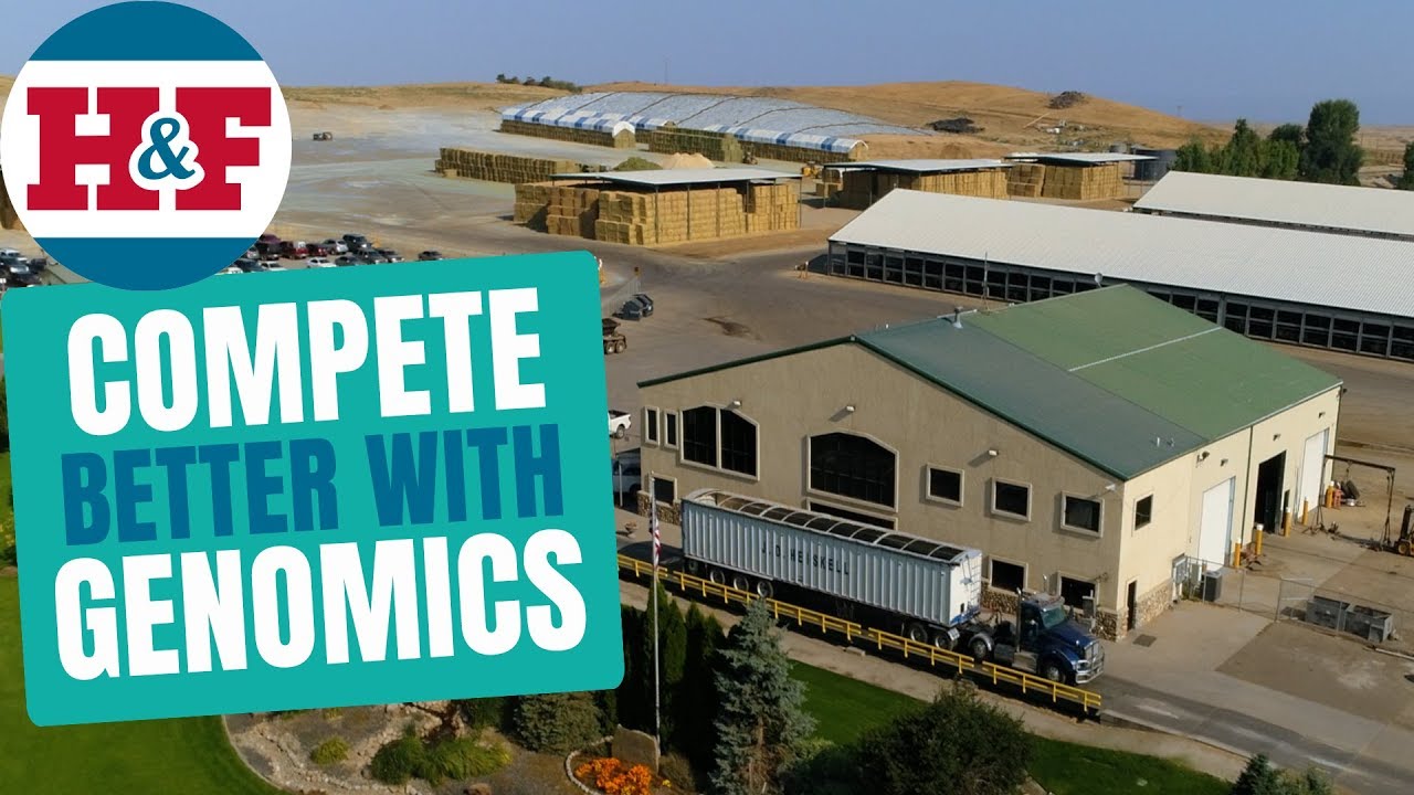 Will it make your dairy competitive? YouTube