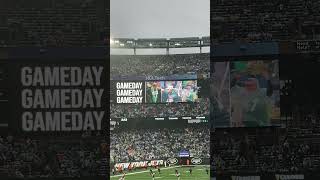 Fireman Ed NY Jets.. J E T S Chants, NY Jets VS Bears .. pouring like crazy …. #takeflight #nyjets