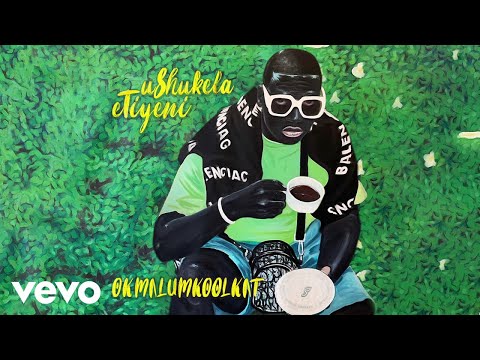 Okmalumkoolkat - Siyayintshontsha (iAttention) (Visualizer) ft. Nirvana Nokwe