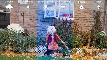 When Color Constancy Goes Wrong: Correcting Improperly White-Balanced Images