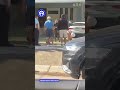 ¡Me pareció ver un lindo gatito! Un tigre de cinco meses fue visto caminando en calles de Zapopan