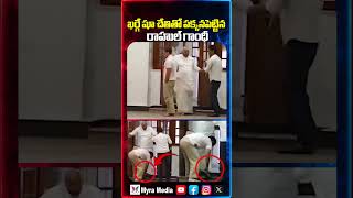 ఖర్గే షూ చేతితో పక్కనపెట్టిన రాహుల్ గాంధీ | Rahul Gandhi Viral Visulas | Mallikarjun Kharge