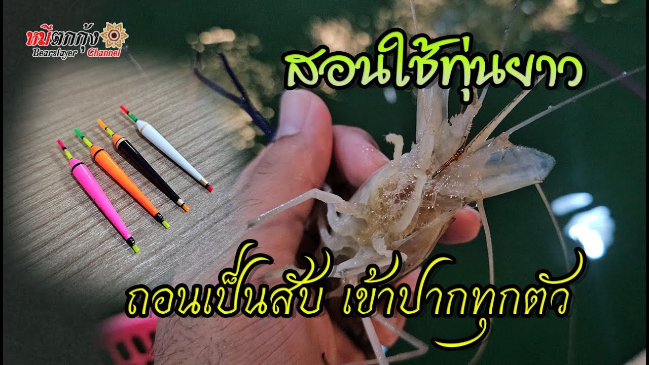 วิธีใช้ทุ่นยาว ตกกุ้ง