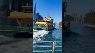 You Need to Experience Sydney Harbour Like This! 🇦🇺 #shortsfeed #ferry #harbour #skiline #shorts