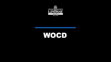 WOCD - Window Opening Control Device