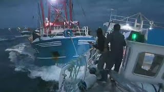 Tensions entre pêcheurs français et britanniques autour de la coquille Saint-Jacques