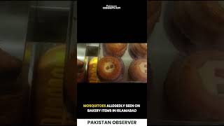 Mosquitoes Allegedly Seen on Bakery Items in Islamabad | Pakistan Observer