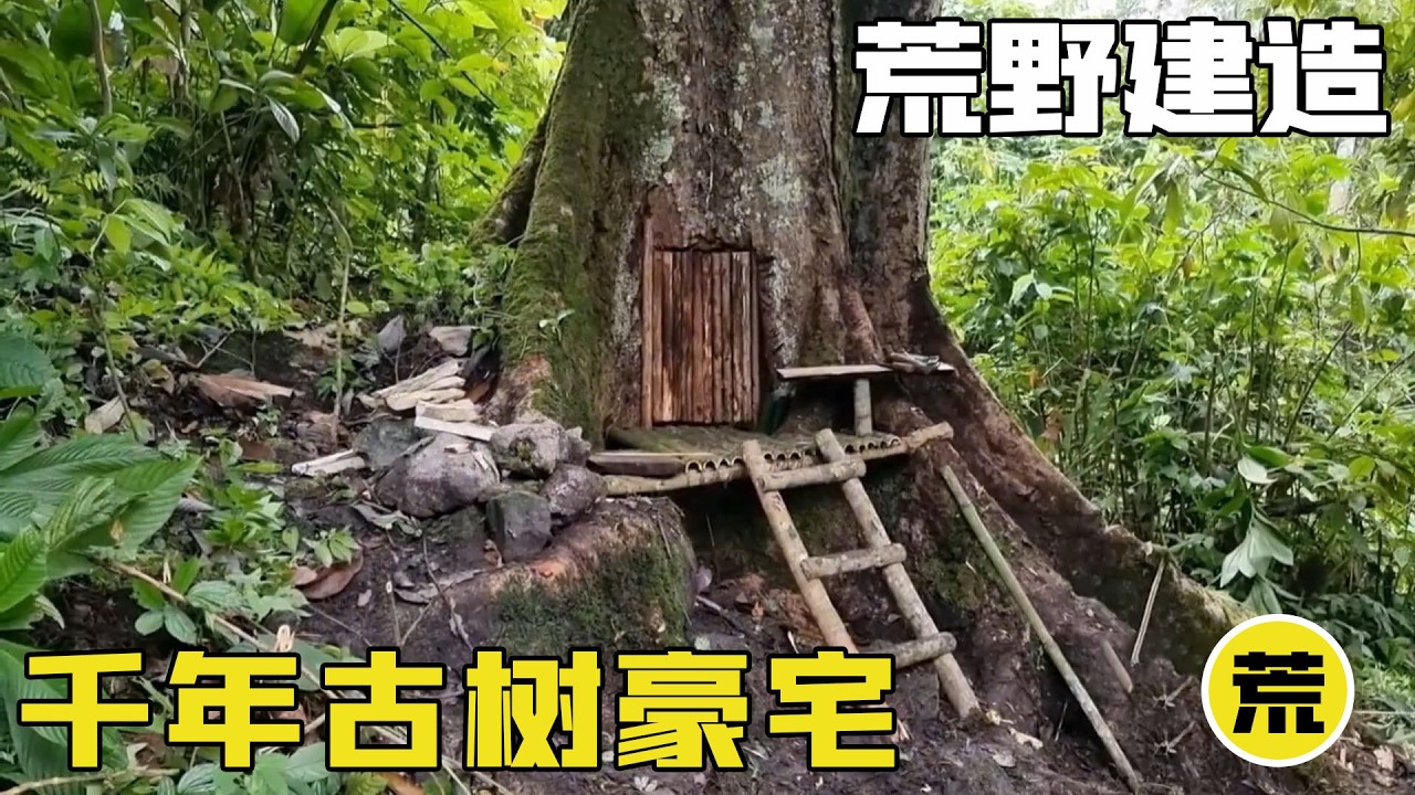 普通人眼裡的古樹，在他眼裡卻是現成豪宅，荒野建造天花板全過程看得太解壓了