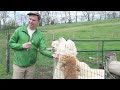 Dreamland Alpacas - Radio Bristol Farm Report