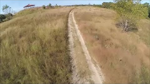 QAV 210 Charpu "Roads..Where we are going we don