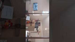 Fraudulent Missing Links of Evolution