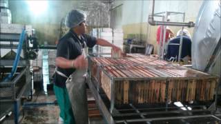 PROCESO PRODUCTIVO DE LA MIEL PROCESO PRODUCTIVO DE LA MIEL