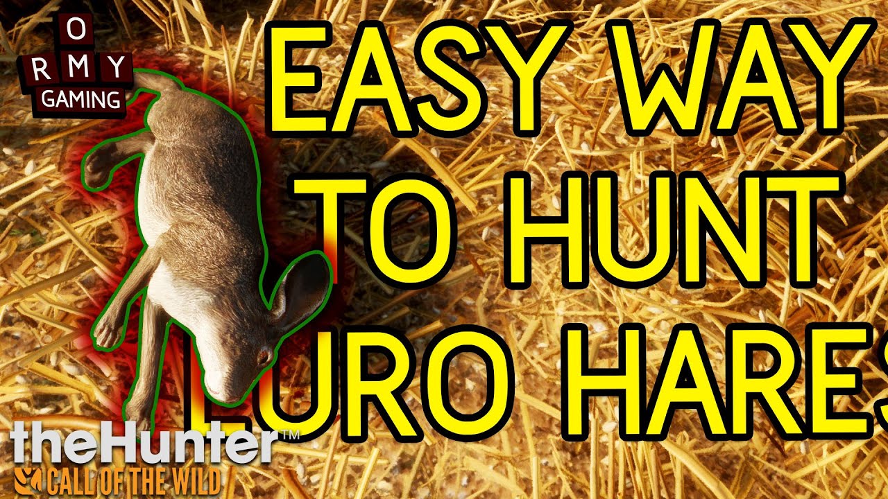 Easy way to hunt european hare in Cuatro Colinas (theHunter call of the