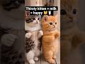 When the milk slides right into frame! 🥣#CuteKitten #MilkBreak #YouTubeShorts#fypシ゚viral