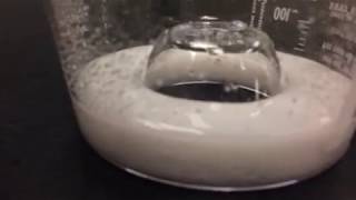 Why You Dont Give Bicarb And Calcium Together In Cardiac Arrest