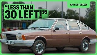 Impressive Car Collection Goes to Auction