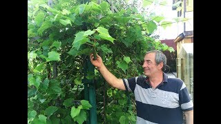 Вахтанг, моли Бога о нас… и жди нас! Вахтанг, моли Бога о нас… и жди нас!
