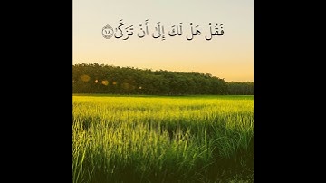 تلاوة خاشعة تريح القلب والاعصاب بصوت القارئ رعد الكردي | هَلْ أَتَاكَ حَدِيثُ مُوسَىٰ