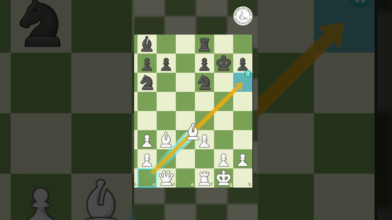 GitHub - TomKatom/MagshiChess: An Online Multiplayer Chess Game.