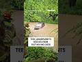 First responders RESCUE high schooler, grandparents from creek #foxnews #news #us #fox