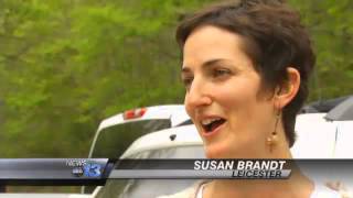 French Broad Bacteria Levels Safe