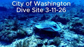 Southern Stingray Key Largo FL 3 11 20261