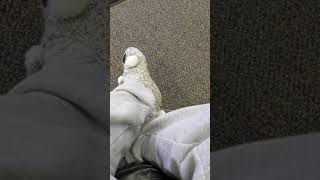 quick live tonigjy