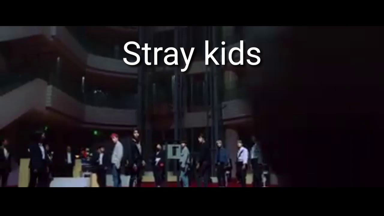 💞💞💞Imagina con Stray Kids💞💞💞(Viviendo con Stray Kids) Cap 2/?