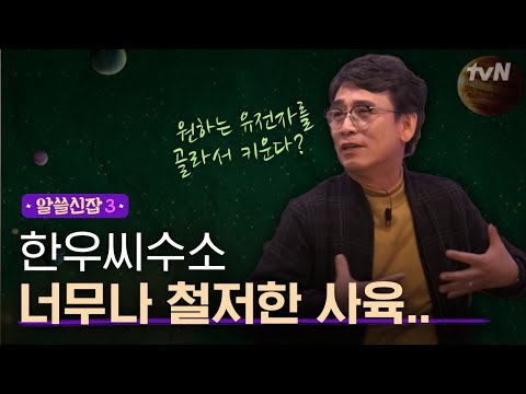 [#알쓸신잡3] 철저하게 관리되는 '소'의 가계도? 만약 사람이라면? (Feat. 멋진 신세계)