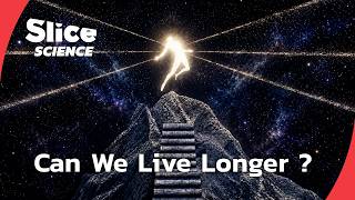 Longevity Hackers: The Science Of Living Longer | SLICE SCIENCE