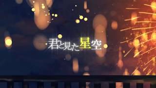 The Starry Sky I Saw With You