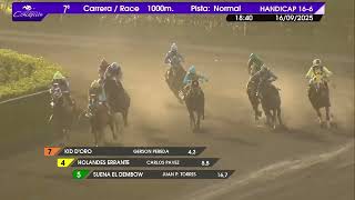 Vidéo de la course PMU NEW FLAME