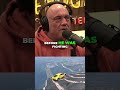UFC Fighter's Shocking PFL Move &amp; Hidden Jiu Jitsu Skills! 😲 #joerogan #ufc #mma #fighting #short