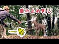 鹿の止め刺し『眉間に一撃＆頸動脈カット』サバイバル＊自給自足