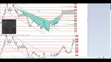 Bat Pattern Results 25.3.2023