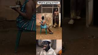 Too Funny  funny lol fyp