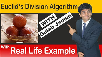 Euclid Division Algorithm in Hindi (STEP BY STEP EXPLANATION) | Real Number Class 10| Hello Maths