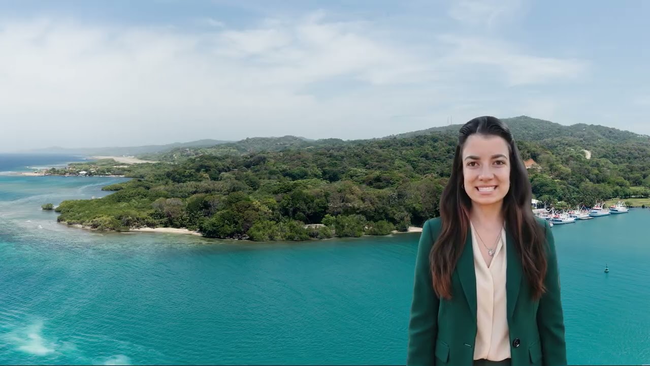 Гондурас, президентские выборы, Life News Today