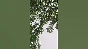 take a moment to breathe