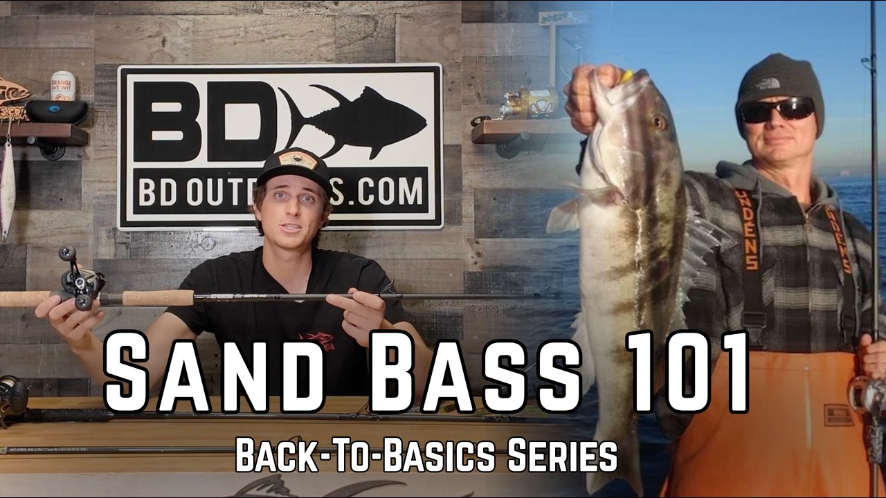 Sand Bass 101: Essential Rigs, Setups, & Baits