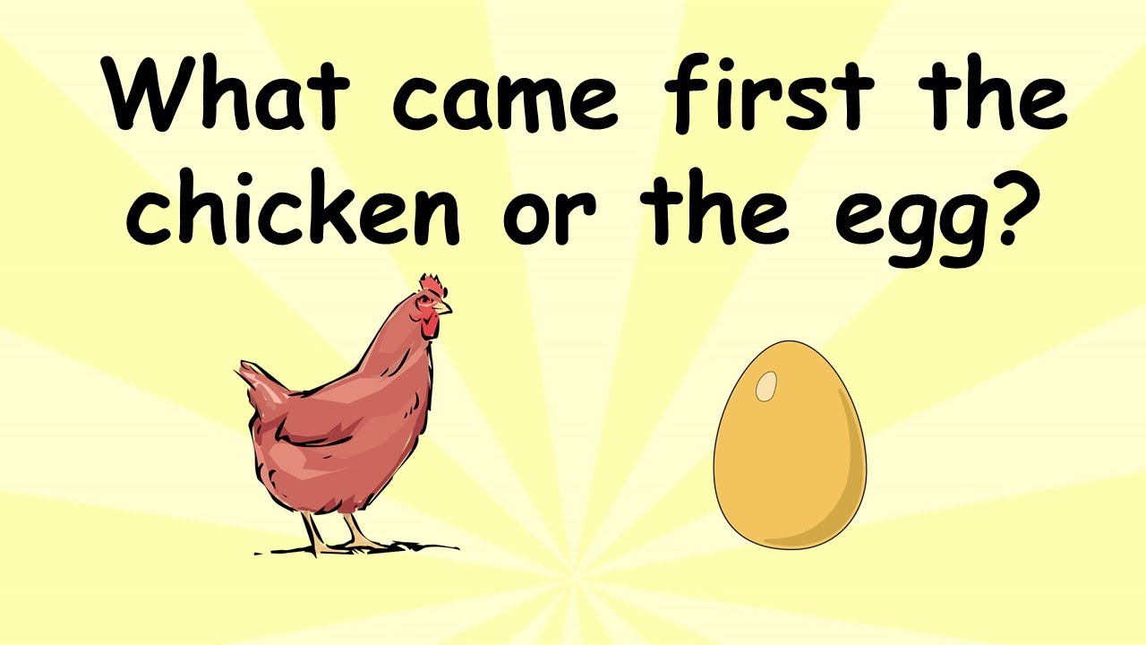 who came first egg or chicken funny answer 2