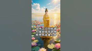 種下善因，並非為了追求回報，而是為了讓內心安寧。 #禅意生活 #佛 #佛學 #人生感悟#因果 #修行 #佛法 #佛教 #佛陀