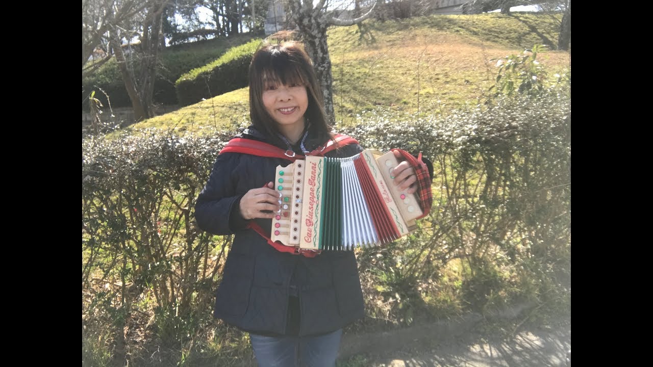 花 Hana♫ 滝廉太郎 Organetto（オルガネット）, Diatonic Accordion