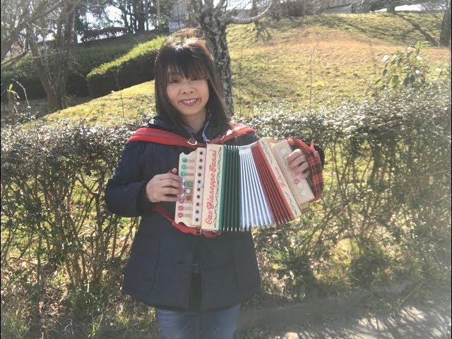 オリンピックモデル、ダイアトニック・アコーディオン。 つけれ